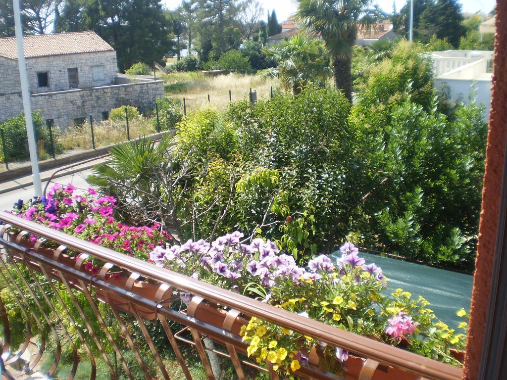 Apartments Katarina Umag Cameră foto